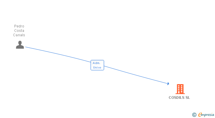 Vinculaciones societarias de COSDILS SL