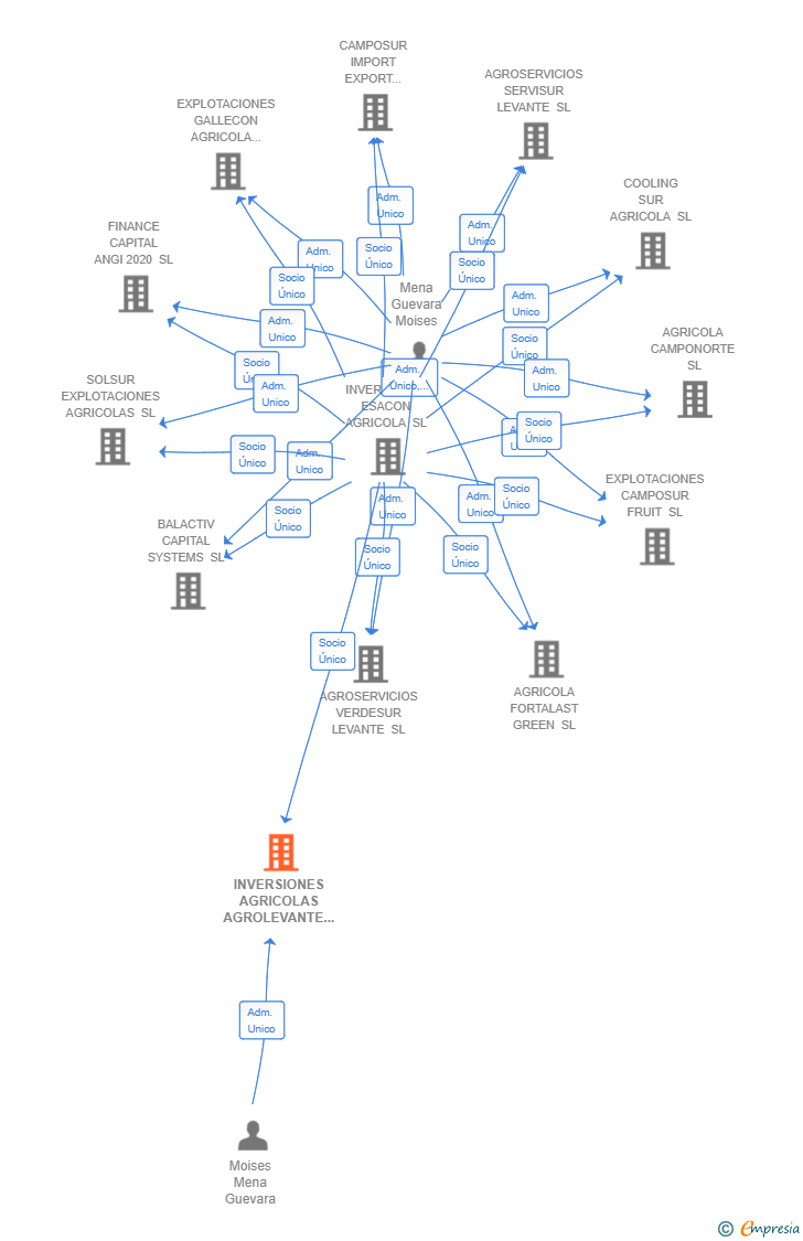 Vinculaciones societarias de INVERSIONES AGRICOLAS AGROLEVANTE SL