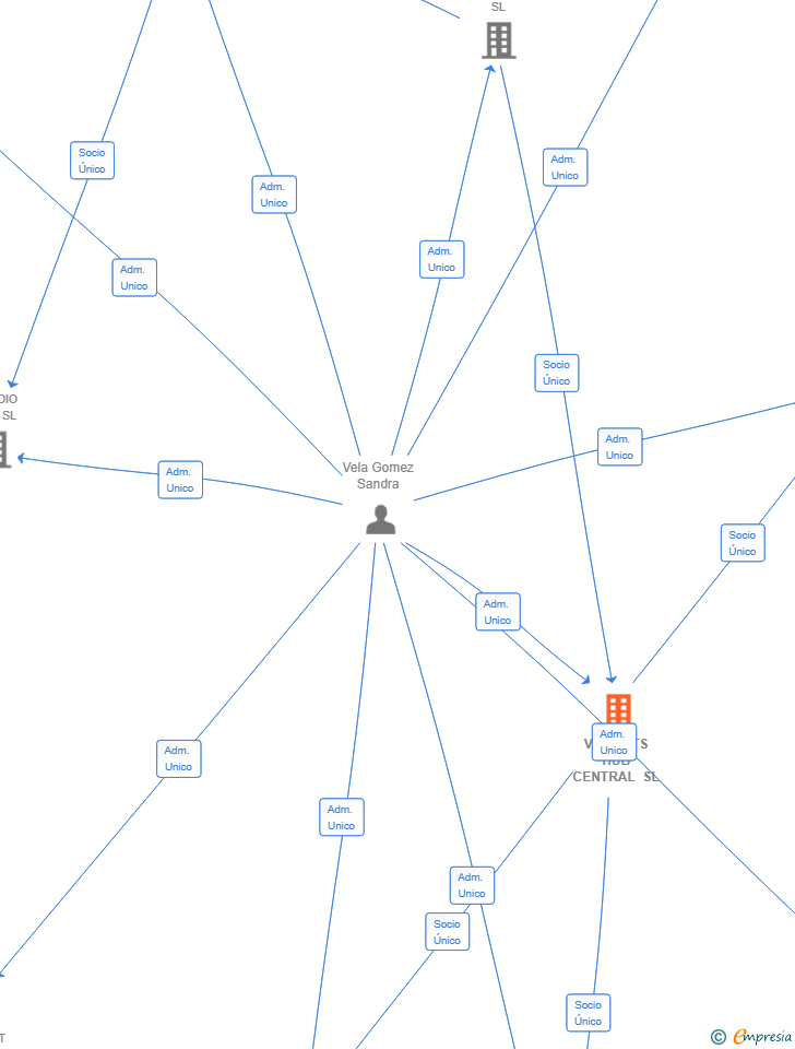 Vinculaciones societarias de VIVEPETS HUB CENTRAL SL