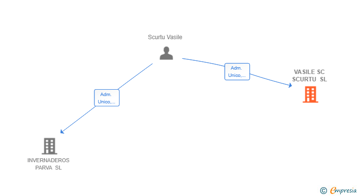 Vinculaciones societarias de VASILE SC SCURTU SL