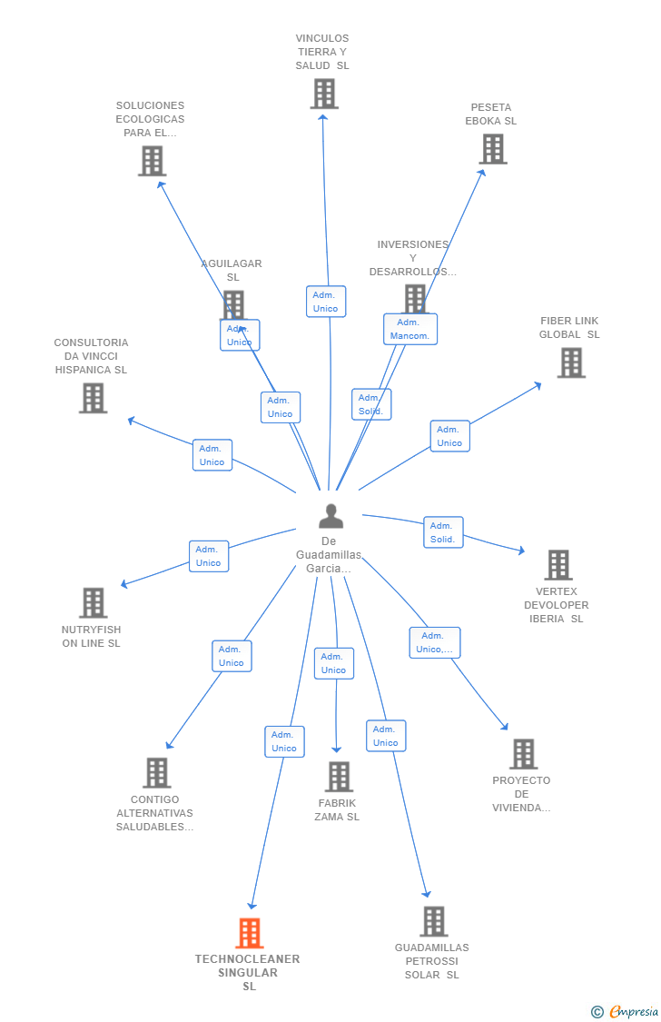 Vinculaciones societarias de TECHNOCLEANER SINGULAR SL