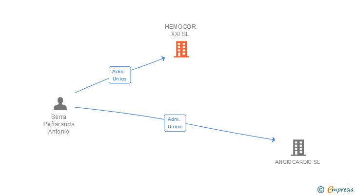 Vinculaciones societarias de HEMOCOR XXI SL