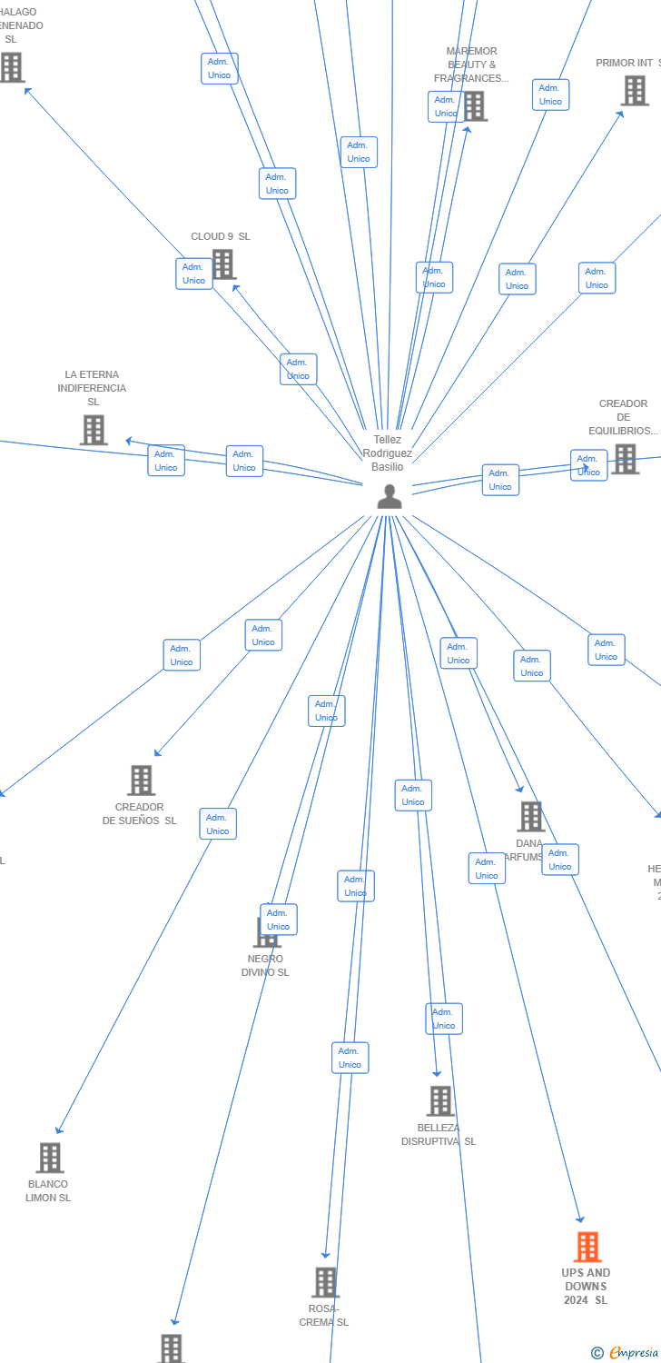 Vinculaciones societarias de UPS AND DOWNS 2024 SL