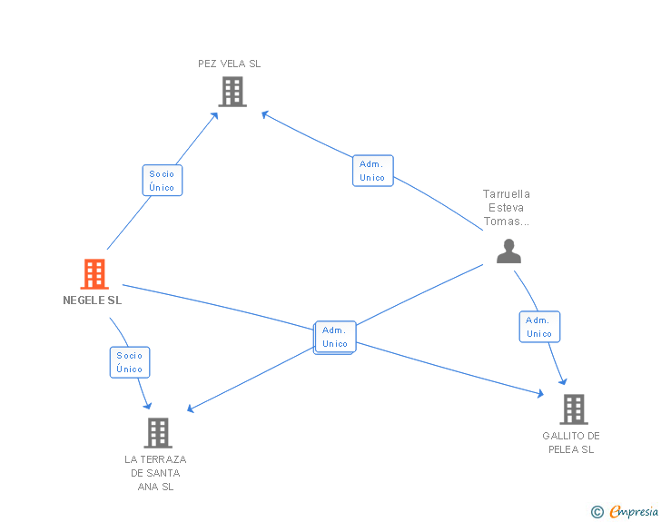 Vinculaciones societarias de NEGELE SL