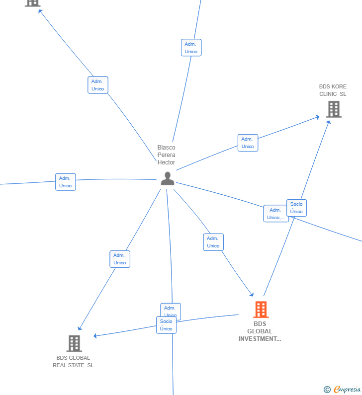 Vinculaciones societarias de BDS GLOBAL INVESTMENT SL