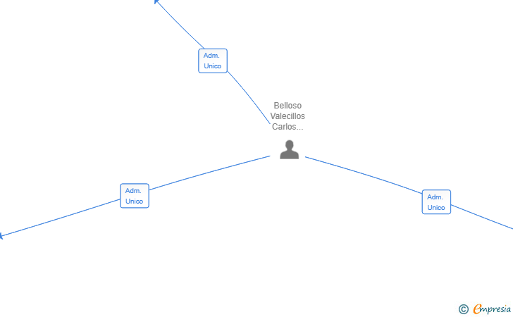 Vinculaciones societarias de MASTER PALETS SL