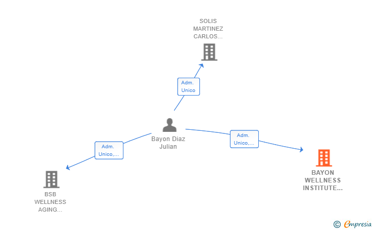 Vinculaciones societarias de BAYON WELLNESS INSTITUTE SL