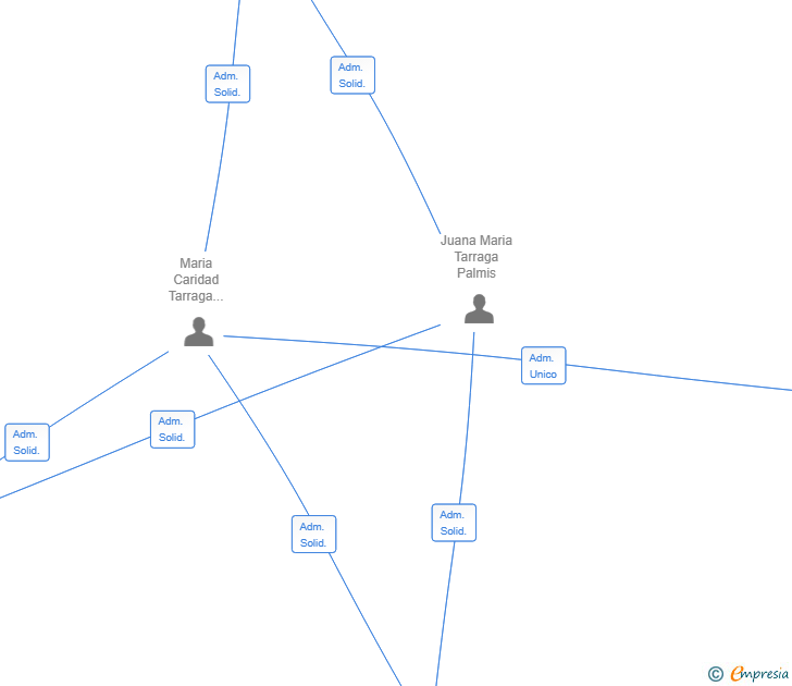 Vinculaciones societarias de PALMINVESTAR SL