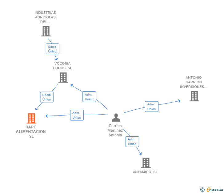 Vinculaciones societarias de DAPE ALIMENTACION SL