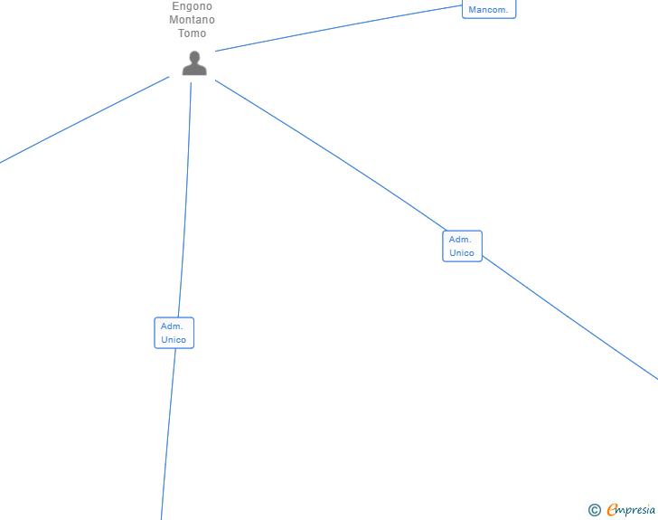 Vinculaciones societarias de ADVANCE MUSIC SL