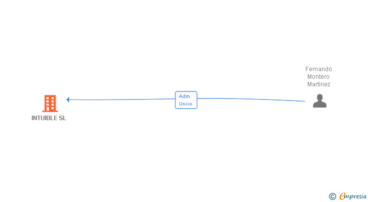 Vinculaciones societarias de INTUIBLE SL