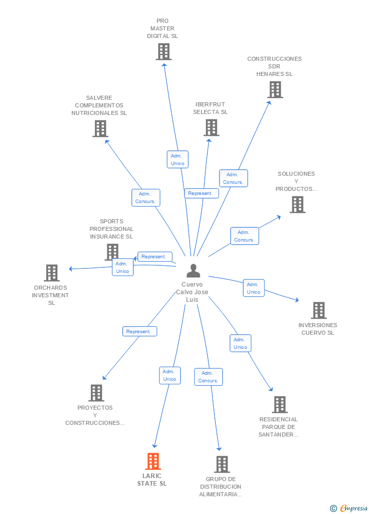 Vinculaciones societarias de LARIC STATE SL