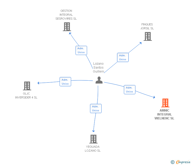 Vinculaciones societarias de AMNIC INTEGRAL WELNENC SL