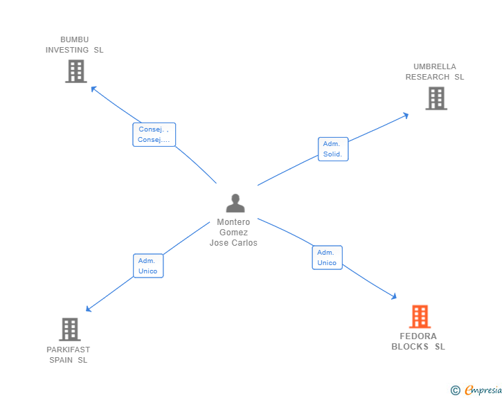 Vinculaciones societarias de FEDORA BLOCKS SL