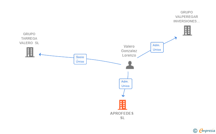 Vinculaciones societarias de APROFEDES SL