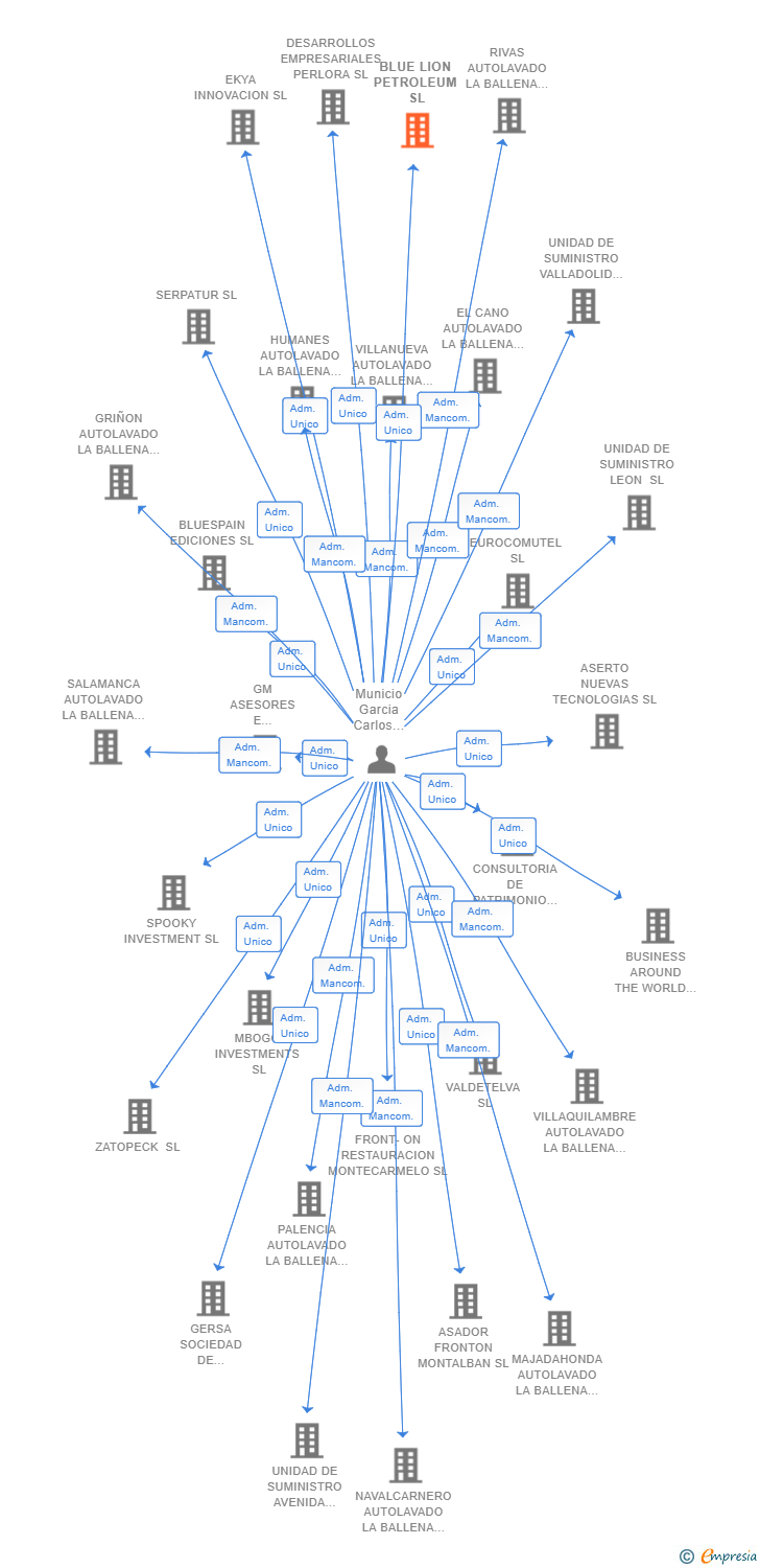 Vinculaciones societarias de BLUELION PRIVATE EQUITY SL