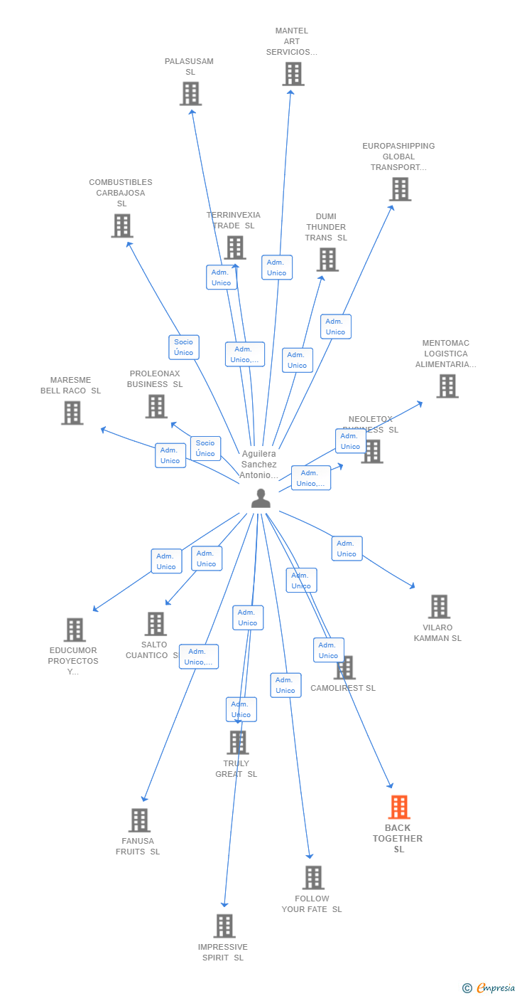 Vinculaciones societarias de BACK TOGETHER SL