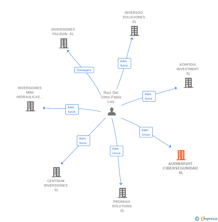 Vinculaciones societarias de AUDINSIGHT CIBERSEGURIDAD SL
