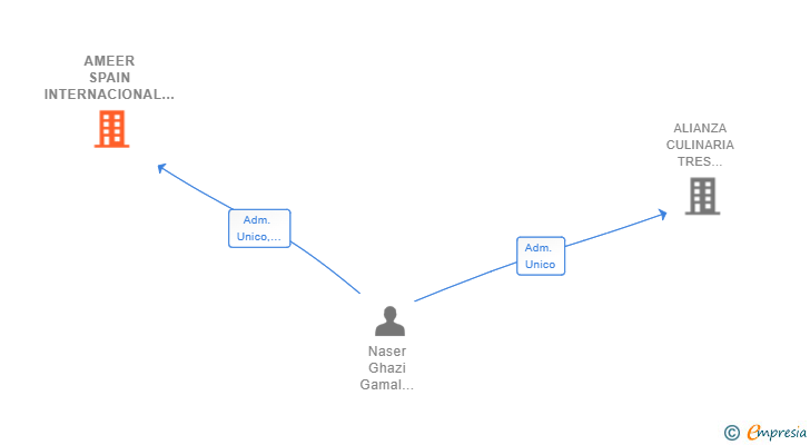 Vinculaciones societarias de AMEER SPAIN INTERNACIONAL 17 SL