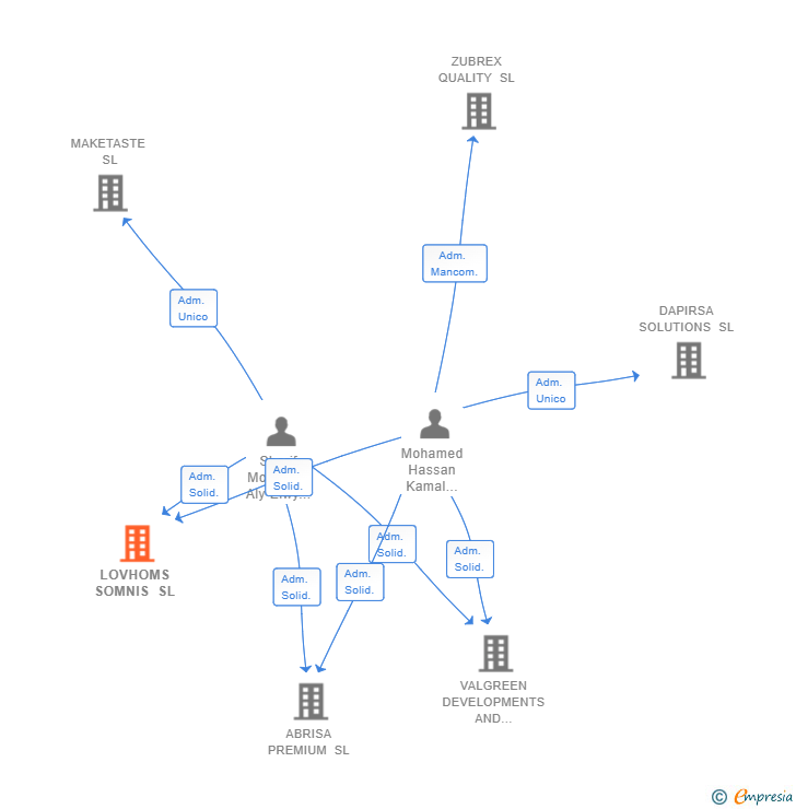 Vinculaciones societarias de LOVHOMS SOMNIS SL