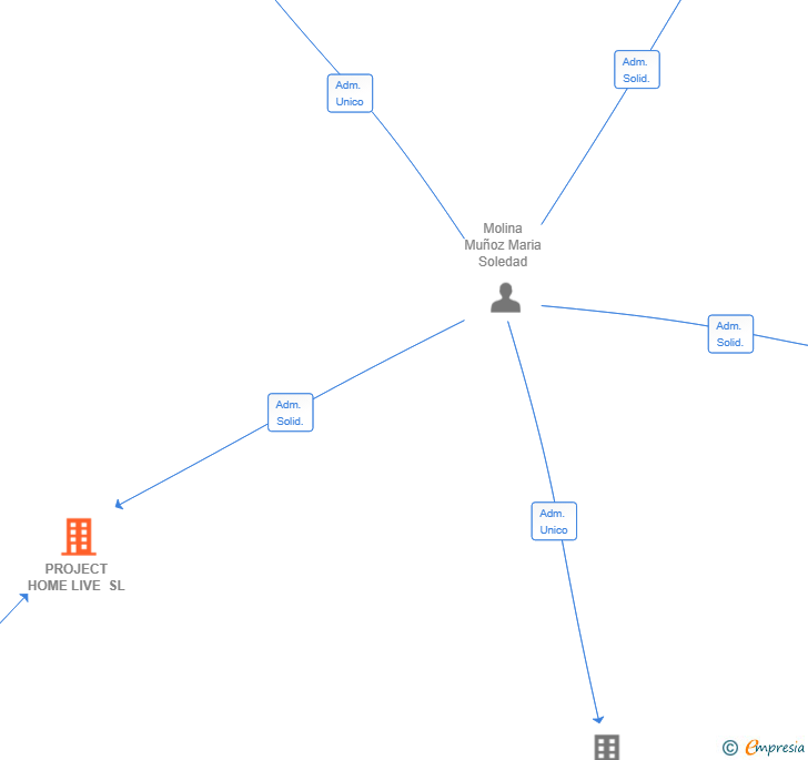 Vinculaciones societarias de PROJECT HOME LIVE SL