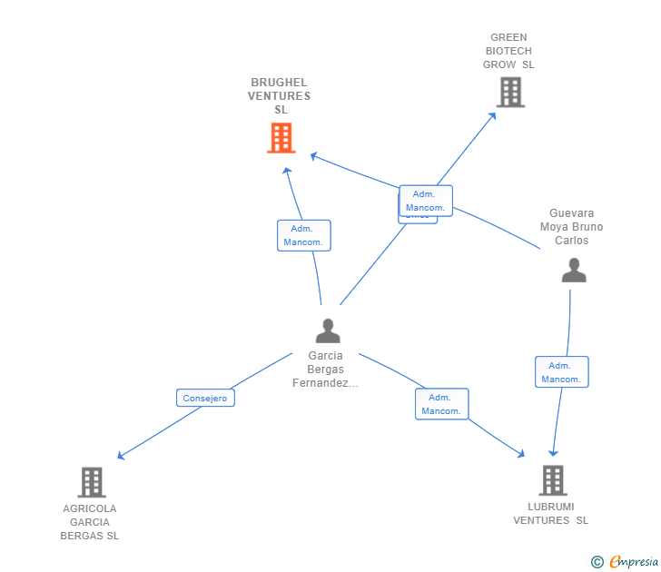 Vinculaciones societarias de BRUGHEL VENTURES SL