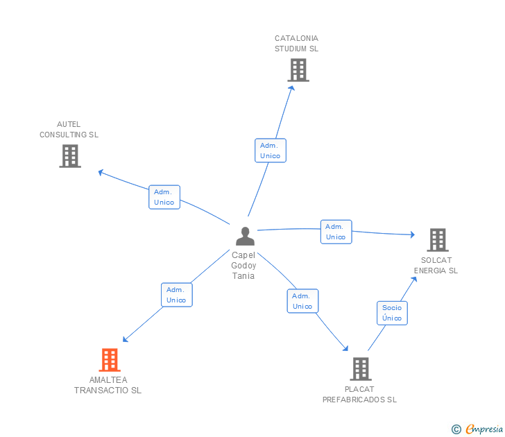 Vinculaciones societarias de AMALTEA TRANSACTIO SL