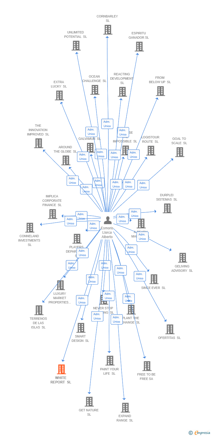 Vinculaciones societarias de WHITE REPORT SL