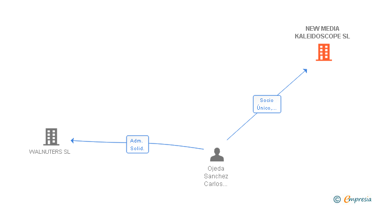Vinculaciones societarias de NEW MEDIA KALEIDOSCOPE SL