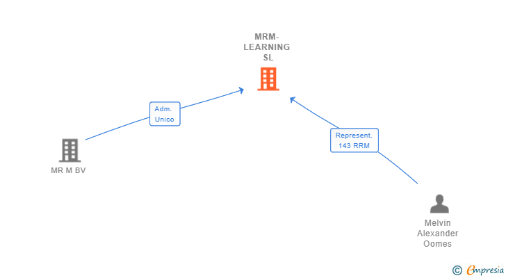 Vinculaciones societarias de MRM-LEARNING SL