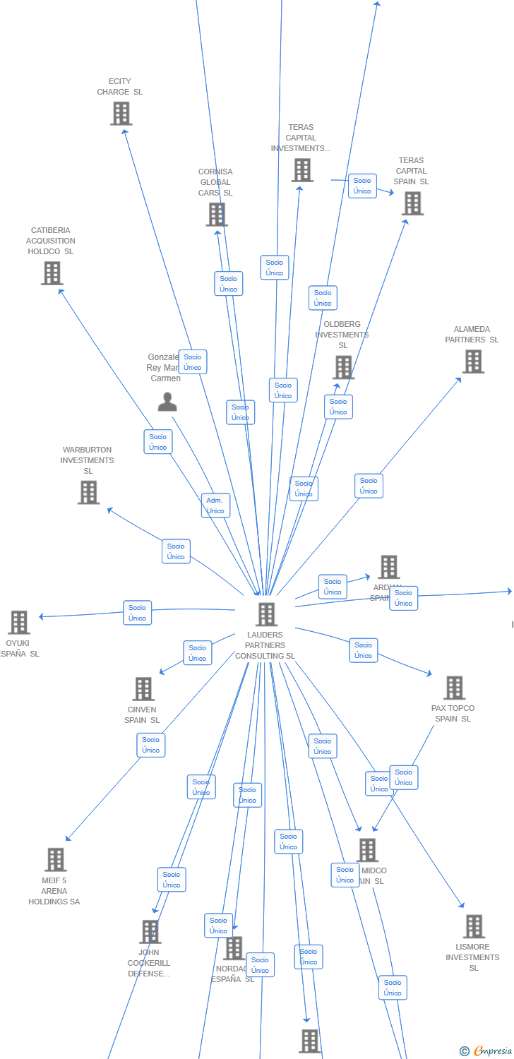 Vinculaciones societarias de FAIRY INVESTMENTS BIDCO SL