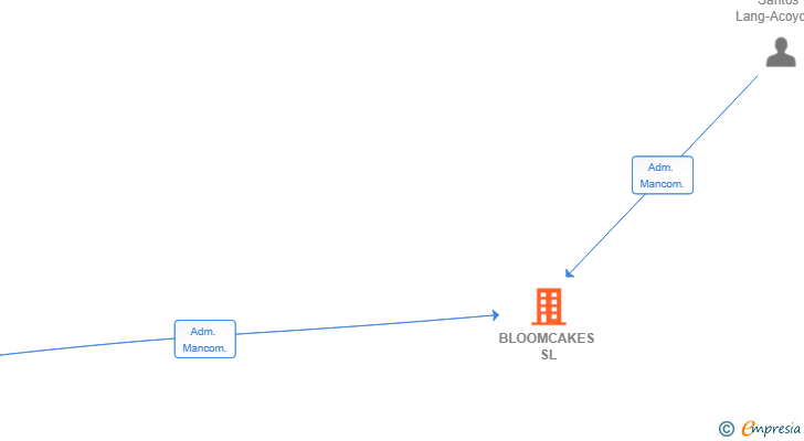 Vinculaciones societarias de BLOOMCAKES SL