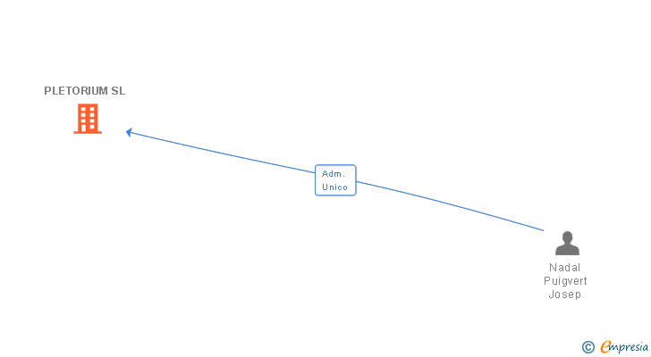 Vinculaciones societarias de PLETORIUM SL