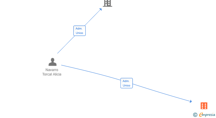Vinculaciones societarias de ANENIG 1 SL