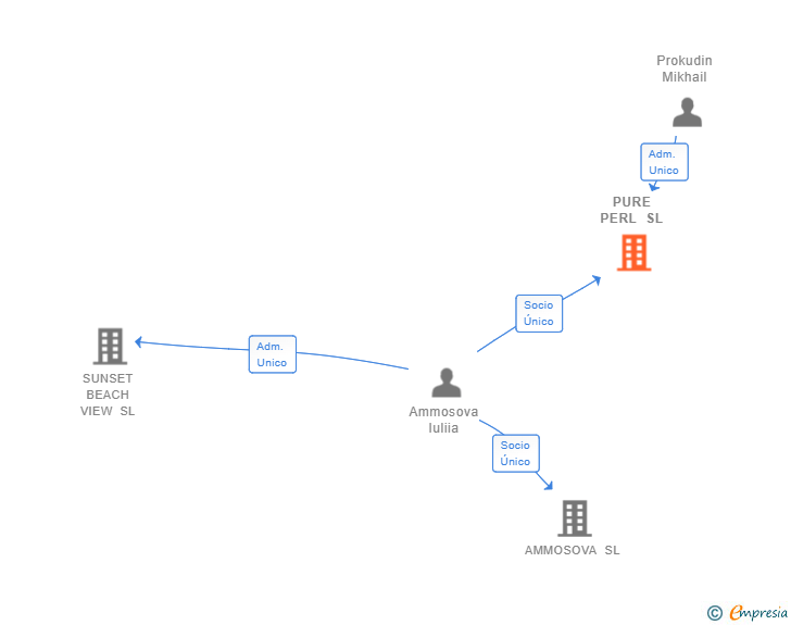 Vinculaciones societarias de PURE PERL SL