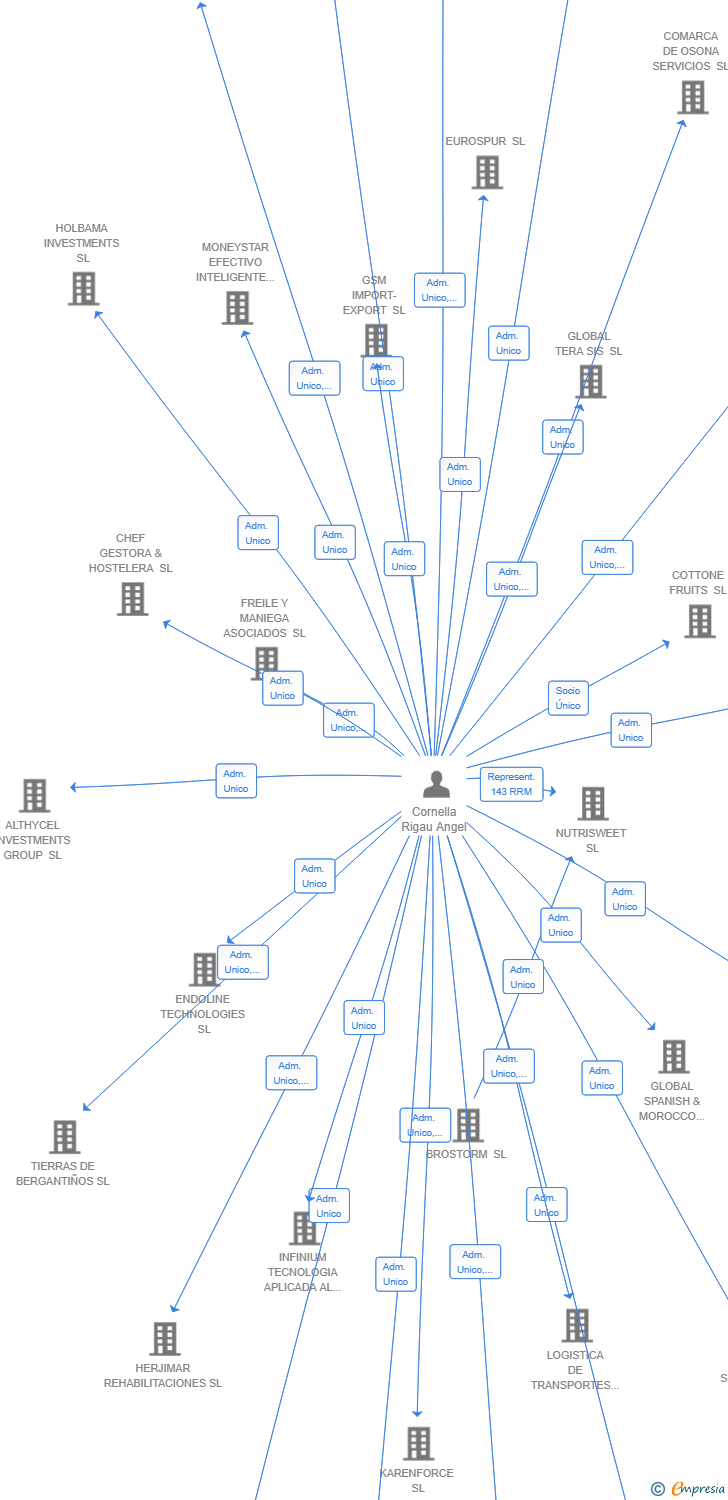 Vinculaciones societarias de REVICAPITAL SL