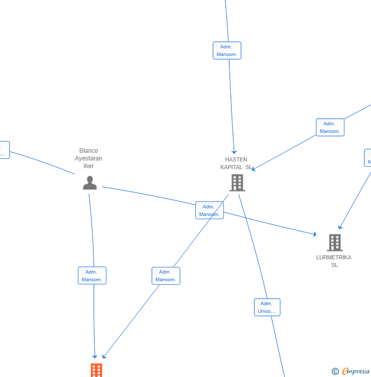 Vinculaciones societarias de LURMETRIKA DATA INSIGHTS SL