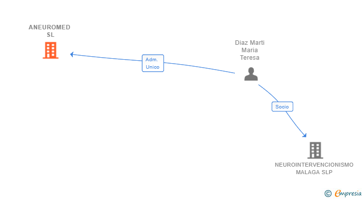 Vinculaciones societarias de ANEUROMED SL
