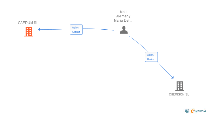 Vinculaciones societarias de GAEDUM SL