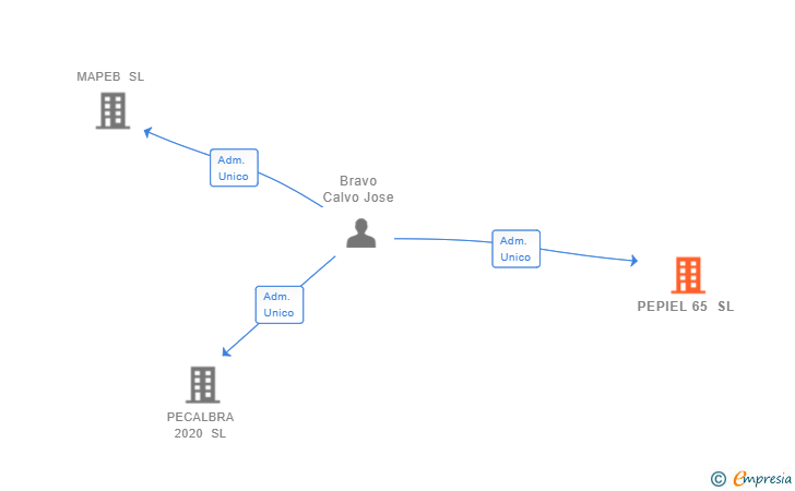 Vinculaciones societarias de PEPIEL 65 SL