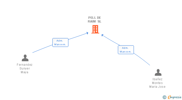 Vinculaciones societarias de PELL DE RAIM SL