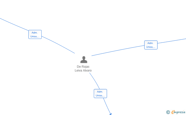 Vinculaciones societarias de ROLEAL CAPITAL SL