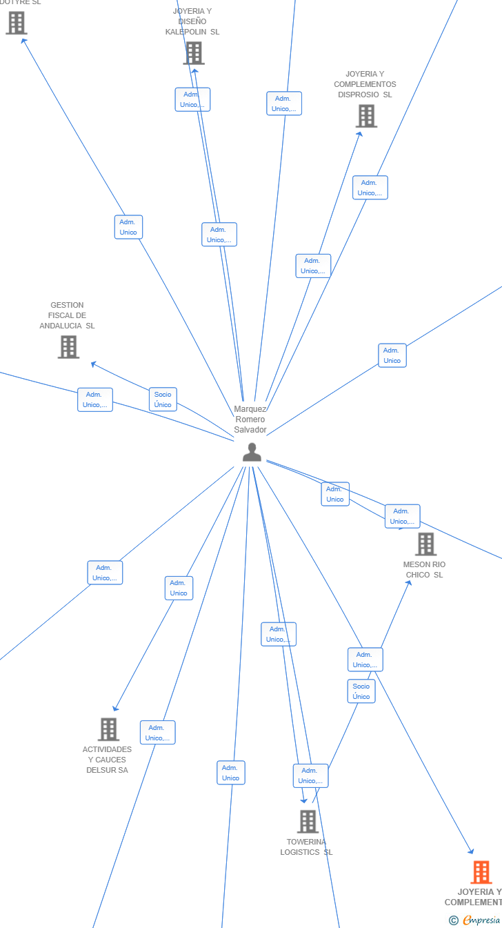 Vinculaciones societarias de JOYERIA Y COMPLEMENTOS RAISEBER SL