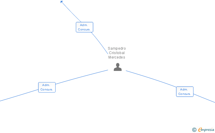 Vinculaciones societarias de AMAYA RODRIGUEZ SL