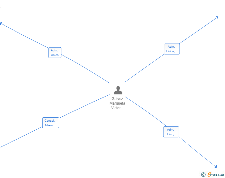 Vinculaciones societarias de VGM SERVICER SL