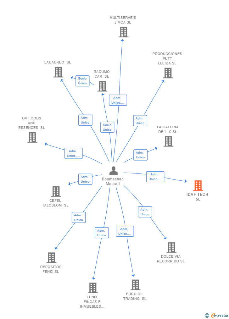 Vinculaciones societarias de IDAF TECH SL