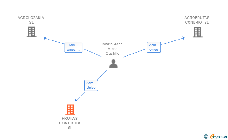 Vinculaciones societarias de FRUTAS CONDICHA SL