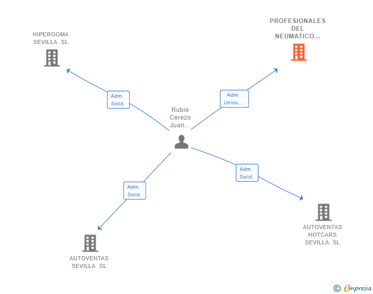 Vinculaciones societarias de PROFESIONALES DEL NEUMATICO SL