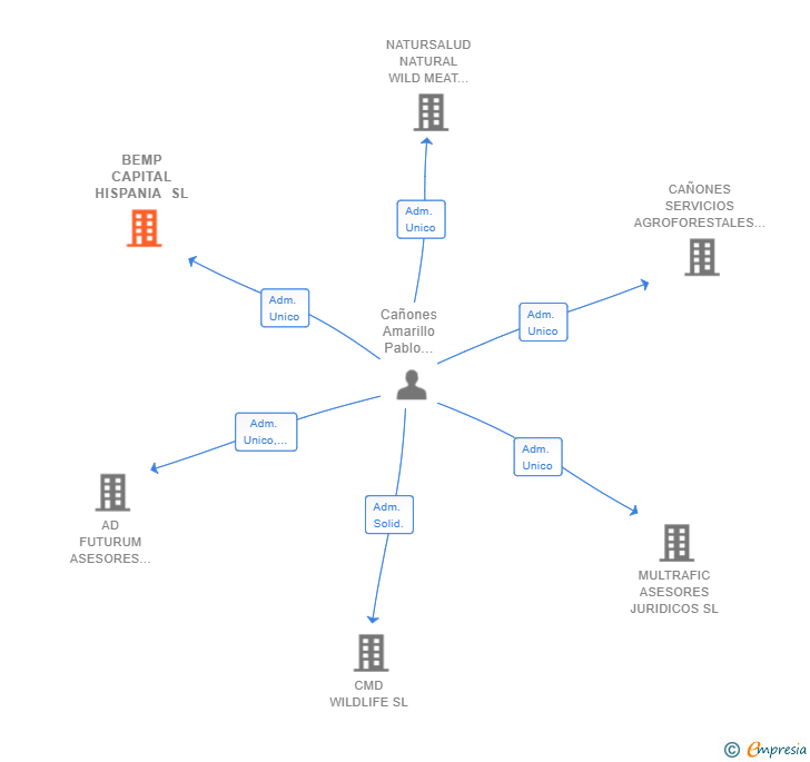 Vinculaciones societarias de BEMP CAPITAL HISPANIA SL