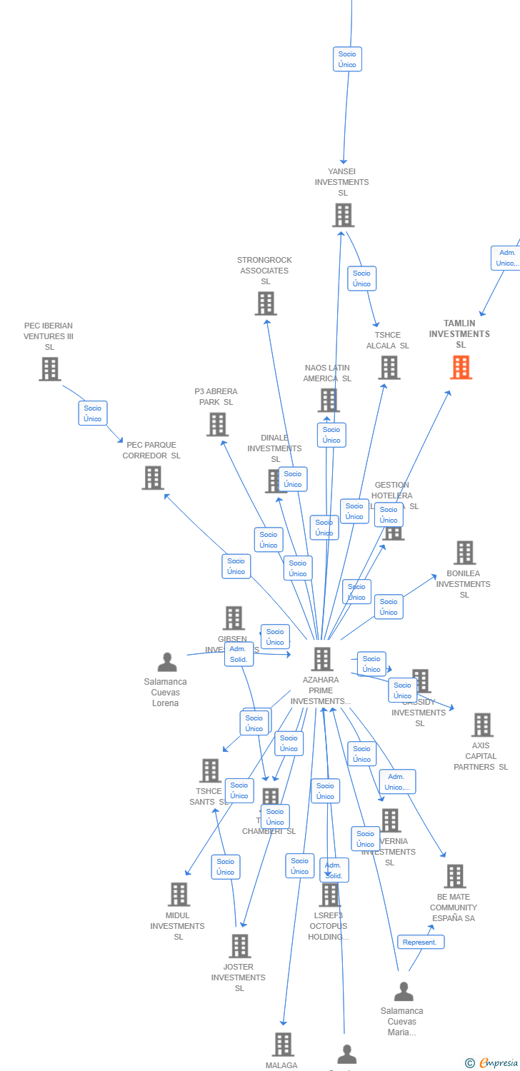 Vinculaciones societarias de TAMLIN INVESTMENTS SL